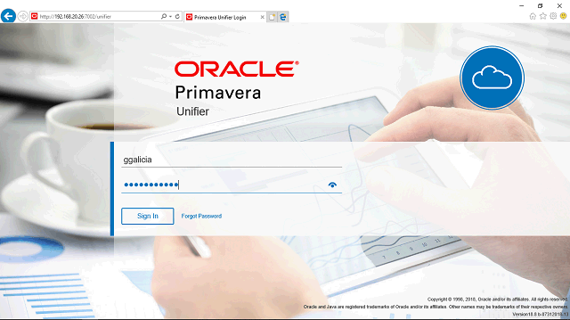 Imagen de la pantalla de este paso